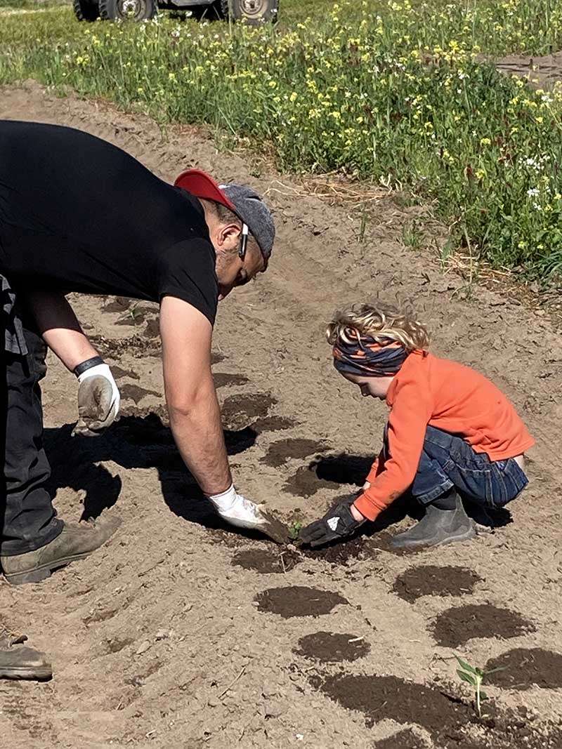 2022 planting hemp flower with Marcos