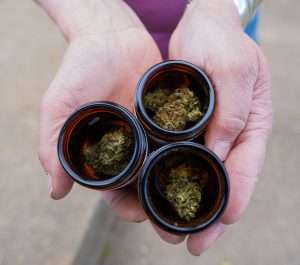 flower in jars