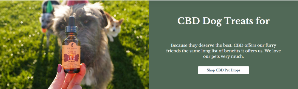 CBD dog treats