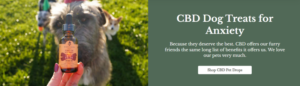 cbd oil for dog anxiety