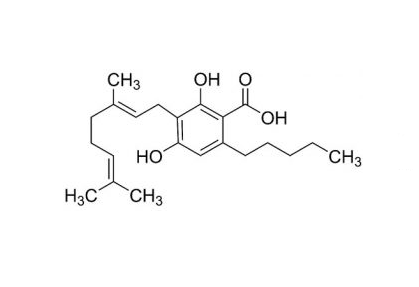 Showing structure of CBGA