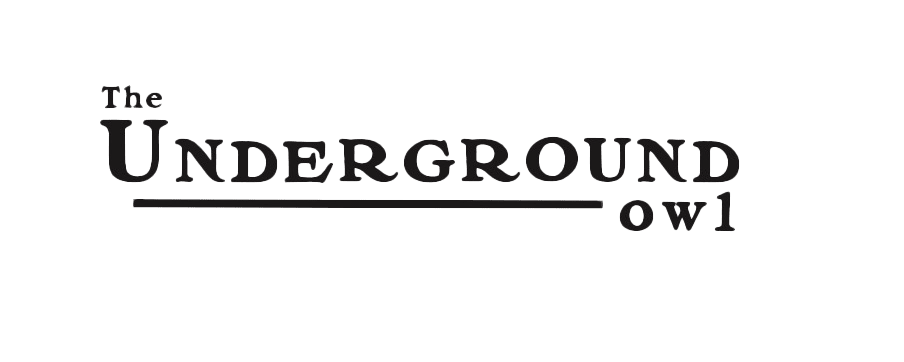 underground owl logo