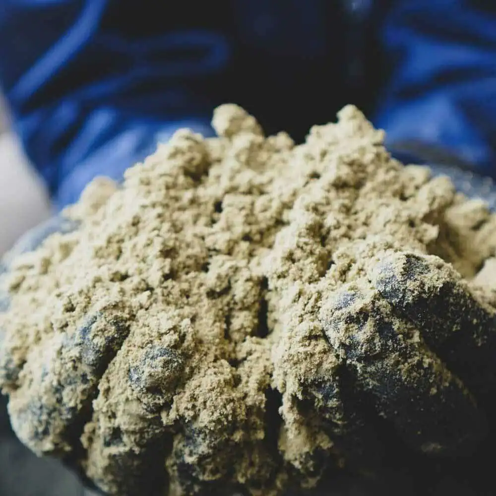 hemp kief bulk